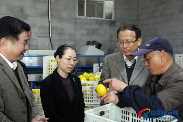 明星企業(yè),歐迪實(shí)業(yè),慶元OUDI,慶元AIRWOMAN,眉筆,眼線筆,唇線筆,眼影,指甲油,眼影,口紅,唇彩,彩妝系列,慶元化妝品,慶元進(jìn)出口